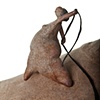 Walrus 