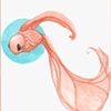 goldfish