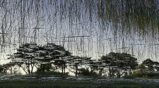 Dead River View #30