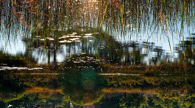 Dead River View #27