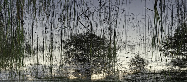 Dead River View #18