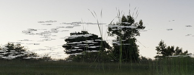 Dead River View #38
