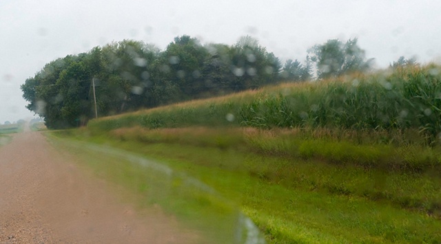 corn 2