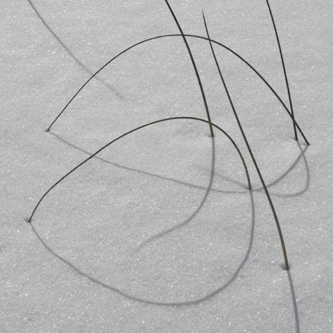 snow rushes 2:44