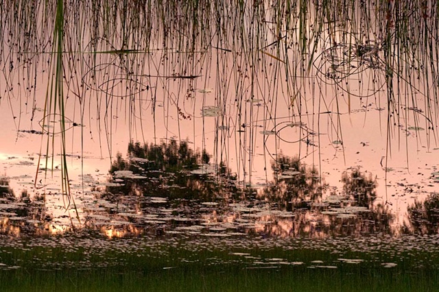 Dead River View #37