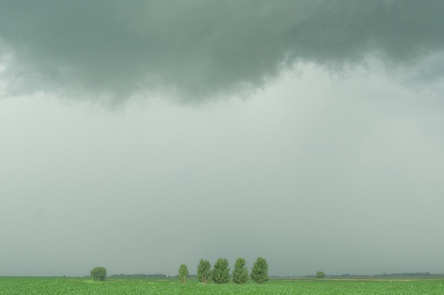rain
