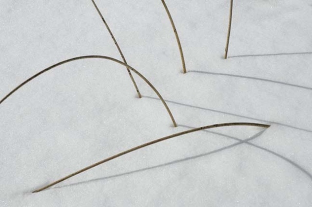 snow rushes 2:47