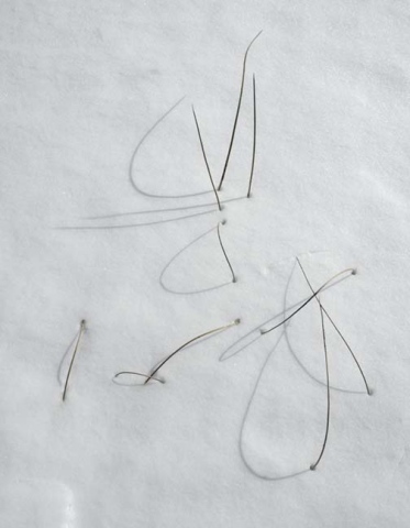 snow rushes 2:17