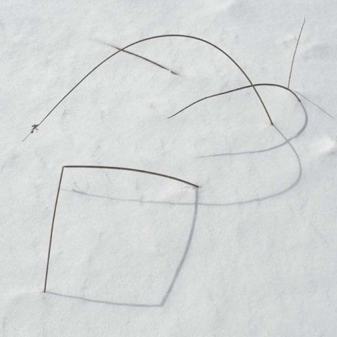 snow rushes 2:42