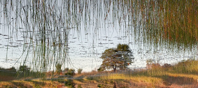 Dead River View #29