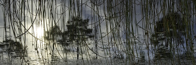 Dead River View #2