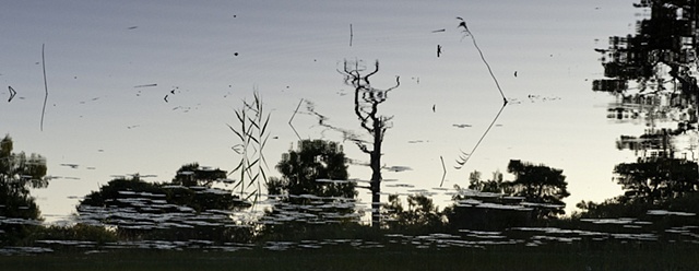 Dead River View #33