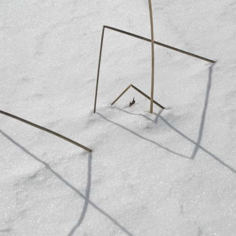 snow rushes 2:5