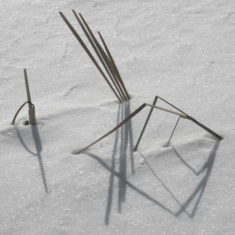snow rushes 2:46