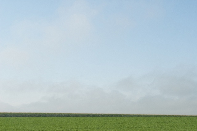 field's edge

