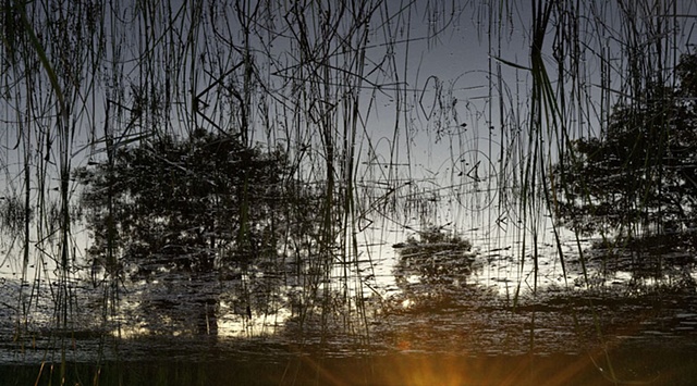 Dead River View #32