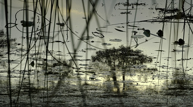 Dead River View #4

