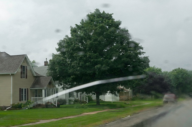 nice tree