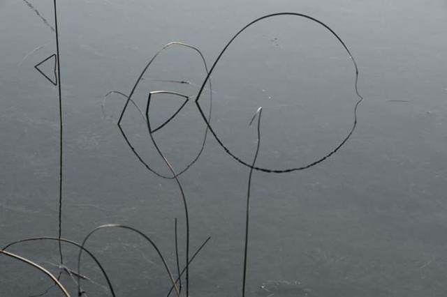 _07B3772