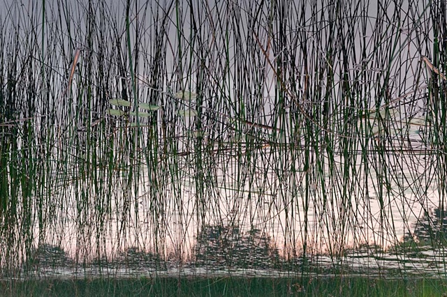 Dead River View #39



