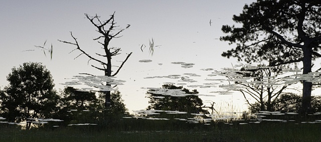 Dead River View #28

