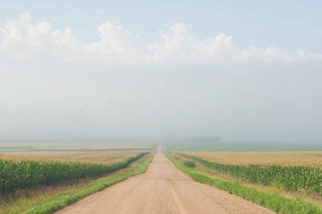 between the fields
