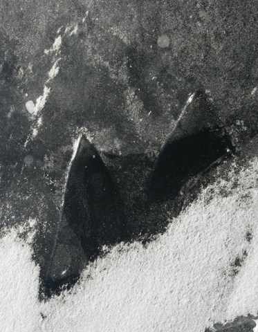 black ice 2:9