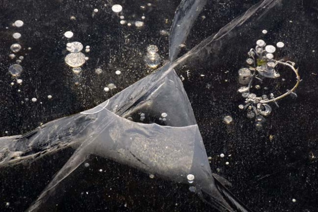 BlackIce_No.12