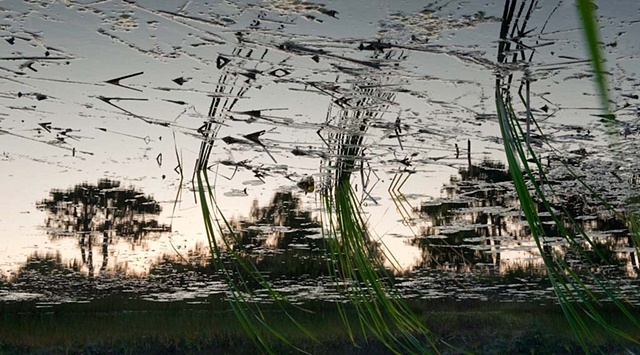 Dead River View #40

