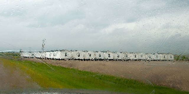 fema trailers
