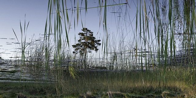 Dead River View #14