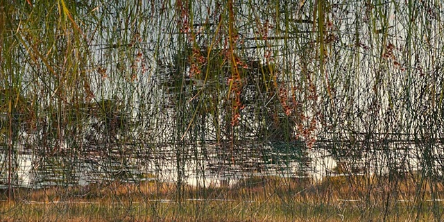 Dead River View #23
