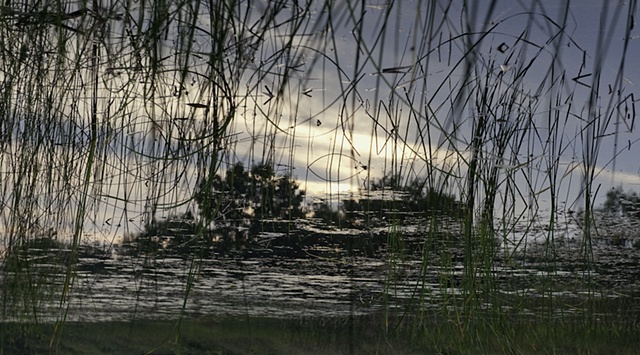 Dead River View #15