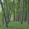 Landscapes 2010-11