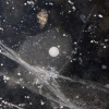 BlackIce_No.8