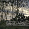 Dead River View #15