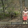 sadie