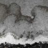 winter spirits 12