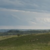 pronghorns
