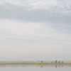 pelican lake