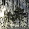 Dead River View #2