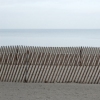 _DSC3811.2