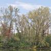 skokie river