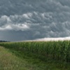 it's gonna rain 1