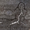 _07A0959