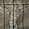 _DSC5876.2