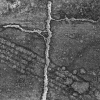 _07A0944
