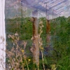 _06A3527.br