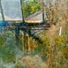 greenhouse