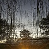 Dead River View #32